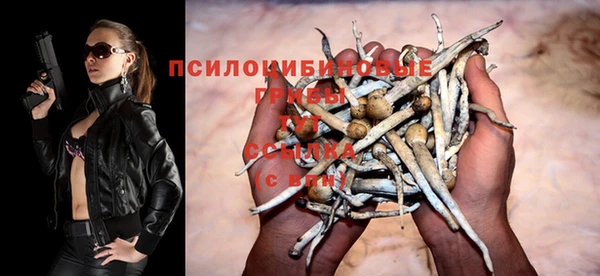 ПСИЛОЦИБИНОВЫЕ ГРИБЫ Семёнов