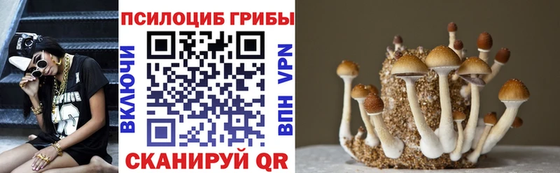 наркошоп  Богучар  Галлюциногенные грибы прущие грибы 